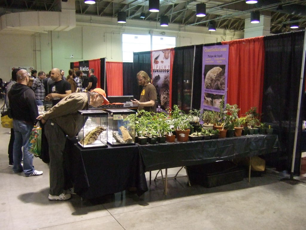 Reptile Supershow, Pomona California, January 8/9, 2011 Los Angeles County
