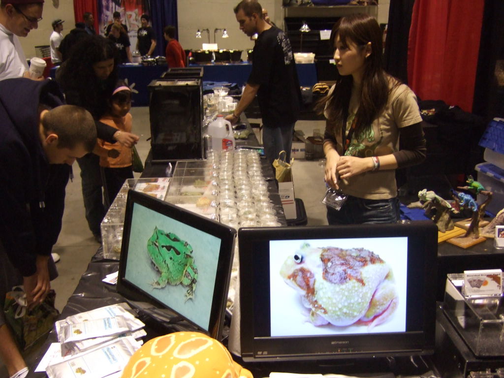 Reptile Supershow, Pomona California, January 8/9, 2011 Los Angeles County