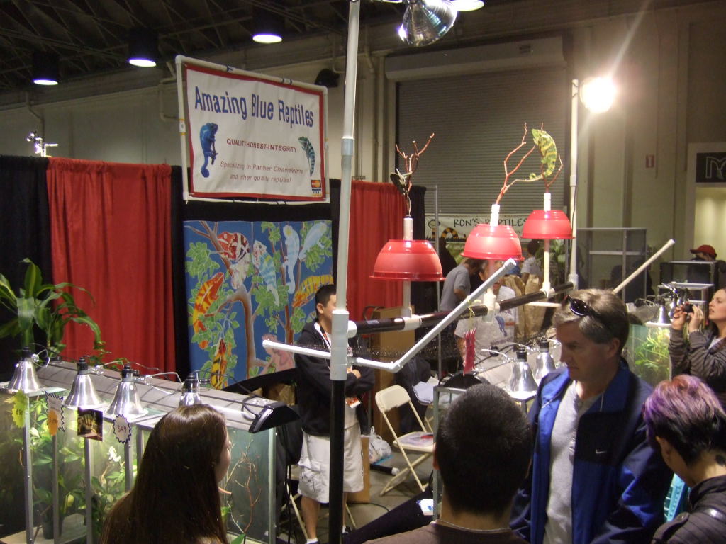 Reptile Supershow, Pomona California, January 8/9, 2011 Los Angeles County