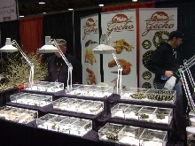 Reptile Supershow, Pomona California, January 8/9, 2011 Los Angeles County