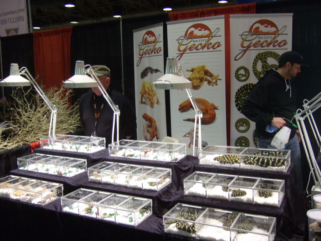 Reptile Supershow, Pomona California, January 8/9, 2011 Los Angeles County