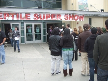 Reptile Supershow, Pomona California, January 8/9, 2011 Los Angeles County
