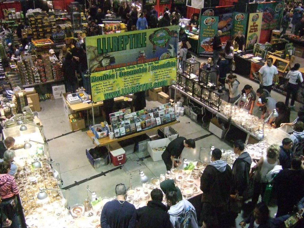 Reptile Supershow, Pomona California, January 8/9, 2011 Los Angeles County