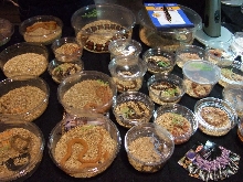 Reptile Supershow, Pomona California, January 8/9, 2011 Los Angeles County