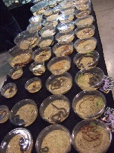 Reptile Supershow, Pomona California, January 8/9, 2011 Los Angeles County