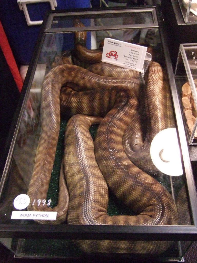 Reptile Supershow, Pomona California, January 8/9, 2011 Los Angeles County