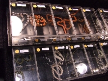Reptile Supershow, Pomona California, January 8/9, 2011 Los Angeles County