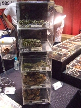 Reptile Supershow, Pomona California, January 8/9, 2011 Los Angeles County