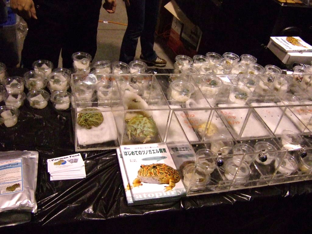 Reptile Supershow, Pomona California, January 8/9, 2011 Los Angeles County