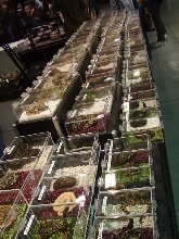 Reptile Supershow, Pomona California, January 8/9, 2011 Los Angeles County