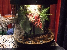 Reptile Supershow, Pomona California, January 8/9, 2011 Los Angeles County