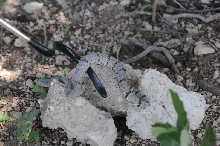 Photos from Snake Days 2012, Sanderson Texas - photo by Jeff Barringer