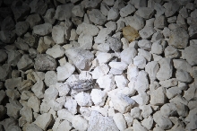 Photos from Snake Days 2012, Sanderson Texas - photo by Jeff Barringer
