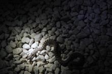 Photos from Snake Days 2012, Sanderson Texas - photo by Jeff Barringer