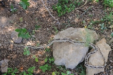 Photos from Snake Days 2012, Sanderson Texas - photo by Jeff Barringer
