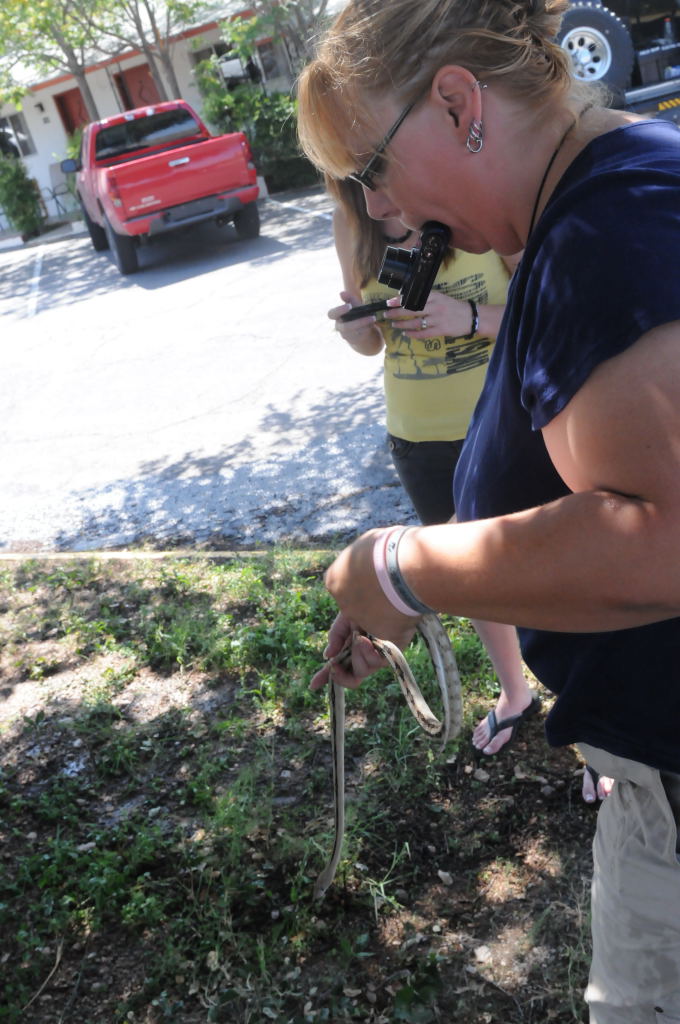 Photos from Snake Days 2012, Sanderson Texas - photo by Jeff Barringer
