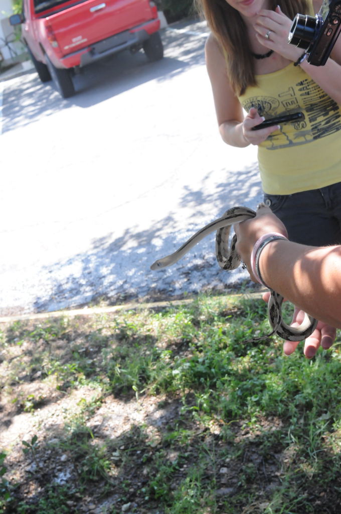 Photos from Snake Days 2012, Sanderson Texas - photo by Jeff Barringer