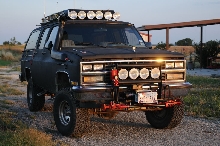 kingsnake.com's 1990 Chevrolet Suburban reptile and amphibian field observa