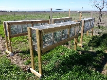 Chameleon Cages Outside