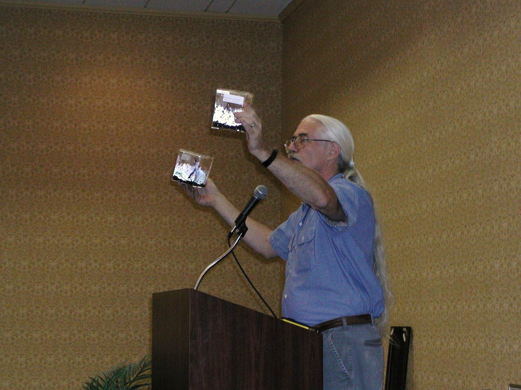 ETHS Expo 2001