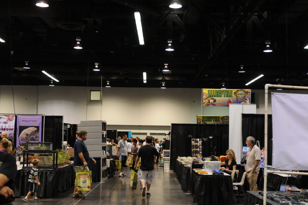 kingsnake racing at NARBC Anaheim Show 2009