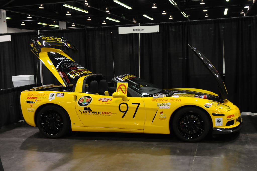 kingsnake racing at NARBC Anaheim Show 2009