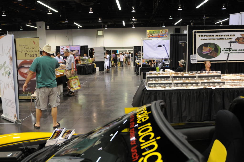 kingsnake racing at NARBC Anaheim Show 2009