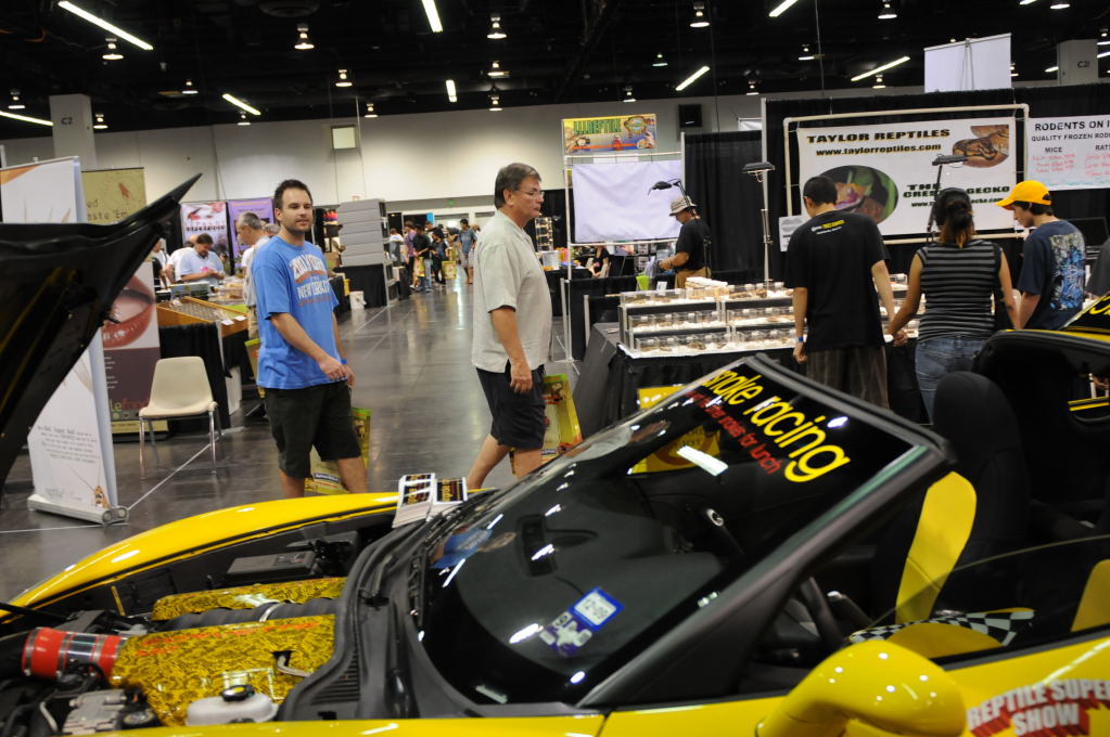 kingsnake racing at NARBC Anaheim Show 2009