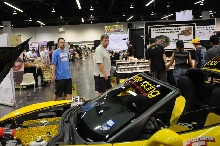 kingsnake racing at NARBC Anaheim Show 2009