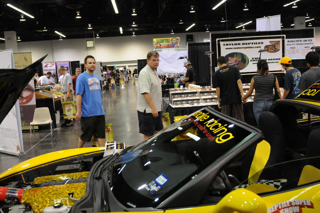 kingsnake racing at NARBC Anaheim Show 2009