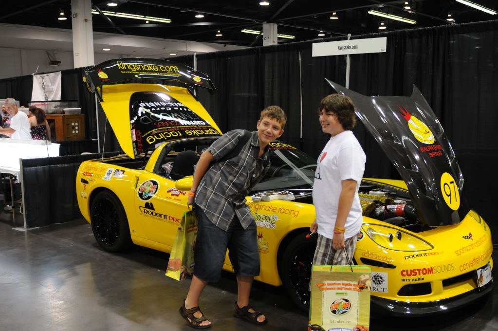 kingsnake racing at NARBC Anaheim Show 2009