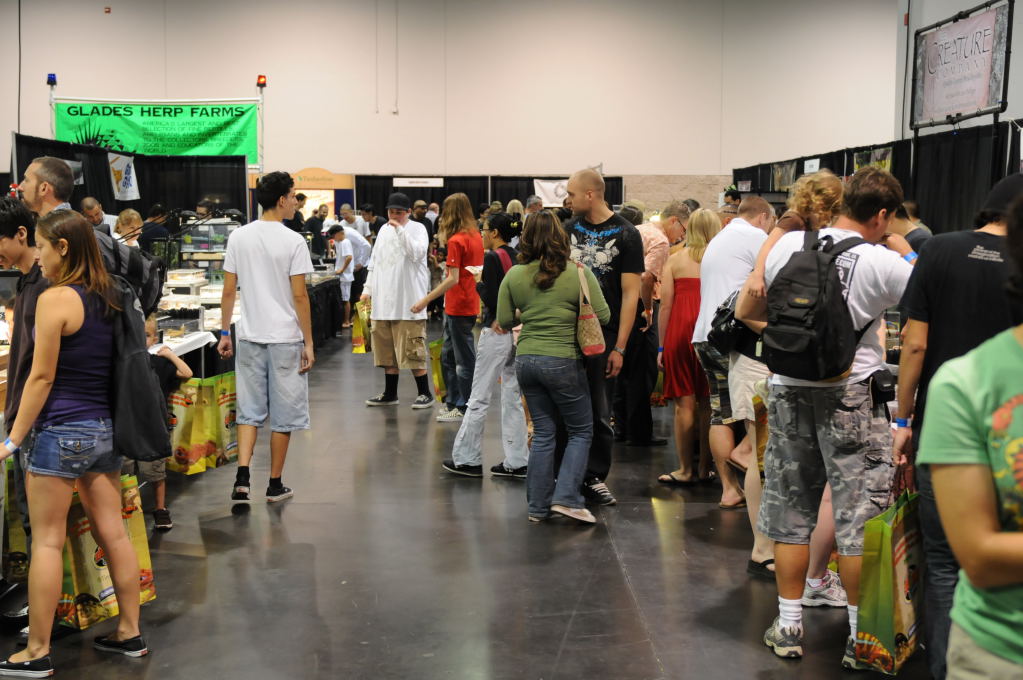 kingsnake racing at NARBC Anaheim Show 2009