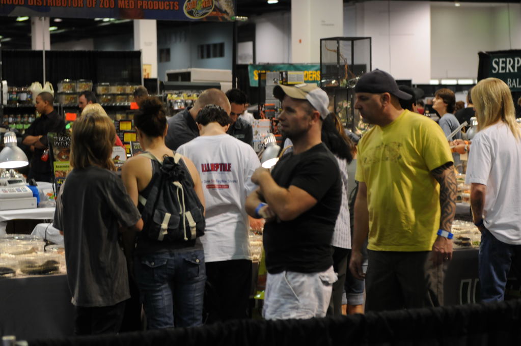 kingsnake racing at NARBC Anaheim Show 2009