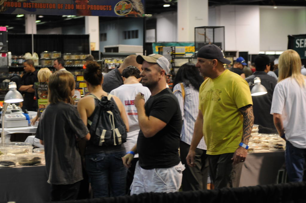 kingsnake racing at NARBC Anaheim Show 2009