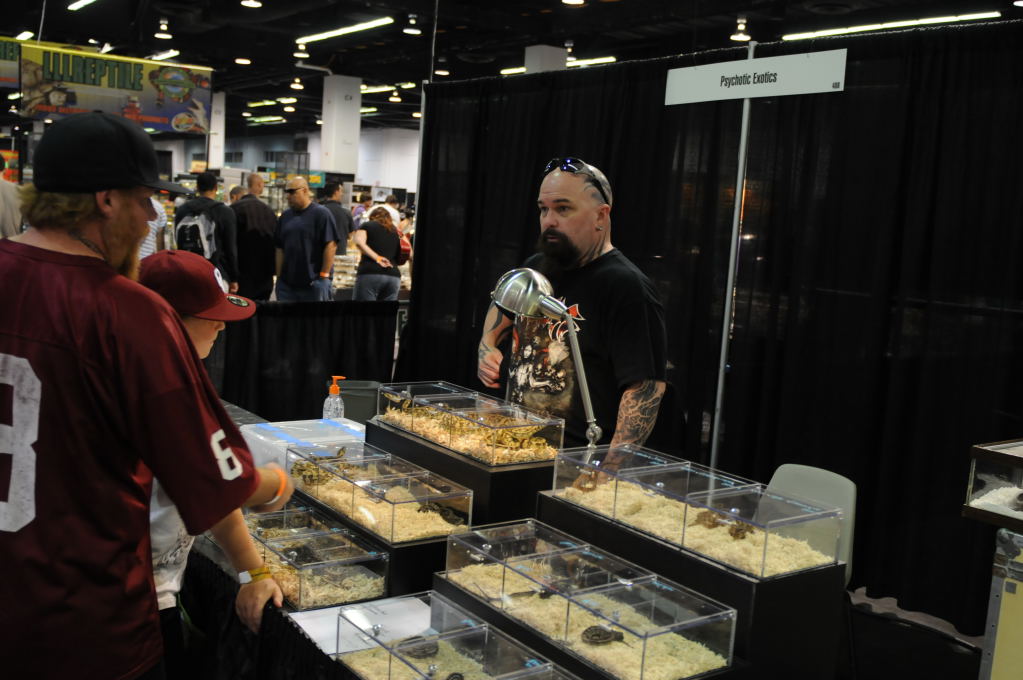 kingsnake racing at NARBC Anaheim Show 2009