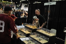 kingsnake racing at NARBC Anaheim Show 2009