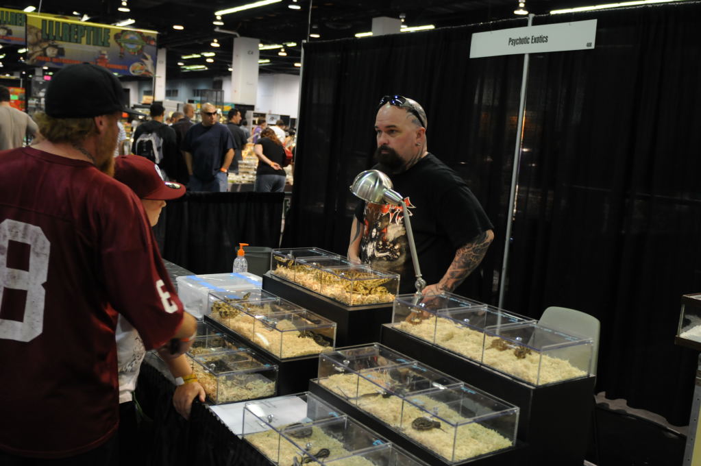 kingsnake racing at NARBC Anaheim Show 2009