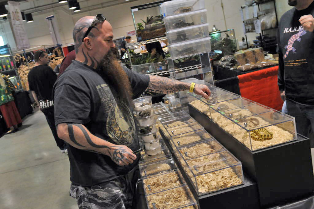 Kerry King at the Reptile Super Show