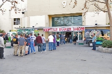 Reptile Super Show Jan 9-10, 2010 Los Angeles County Fairplex, Pomona Calif