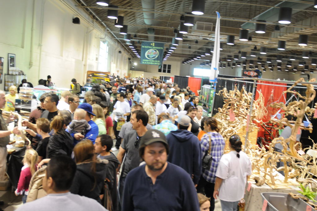 Reptile Super Show Jan 9-10, 2010 Los Angeles County Fairplex, Pomona Calif