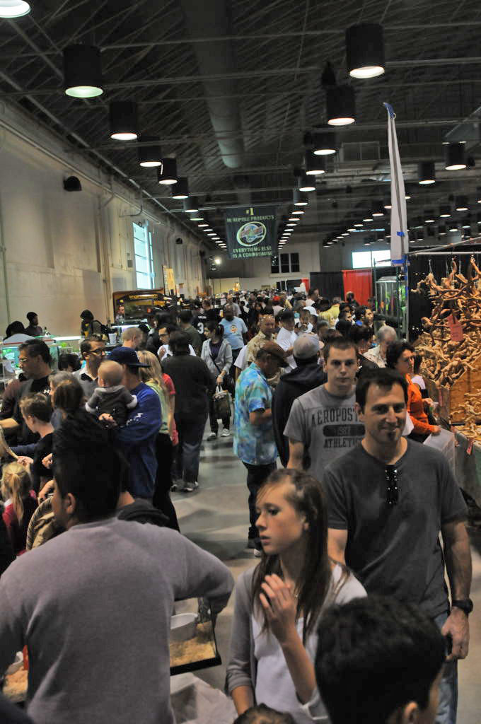 Reptile Super Show Jan 9-10, 2010 Los Angeles County Fairplex, Pomona Calif