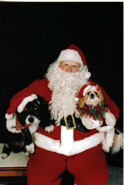 Oscar and Daisy see Santa!