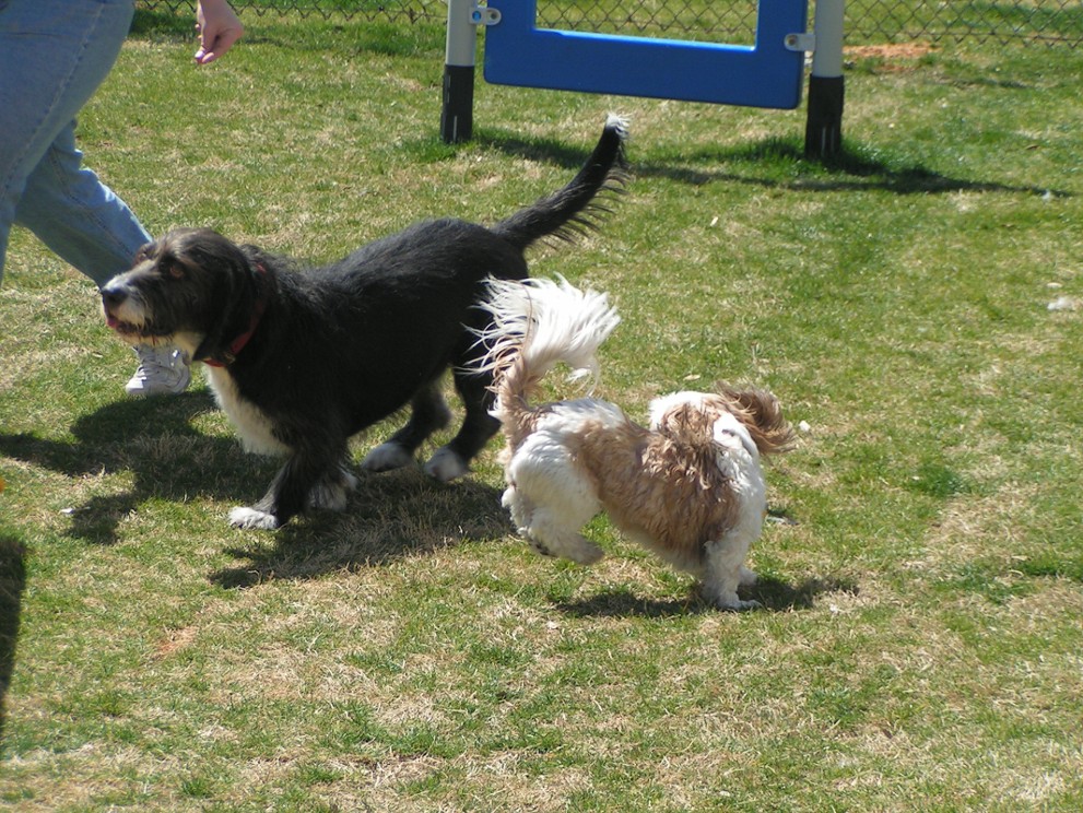 Flying Leap!