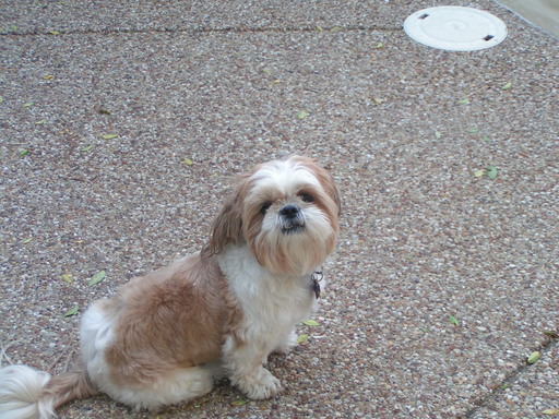 I like sitting here, not getting wet!