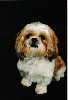 Daisy's photo shoot!