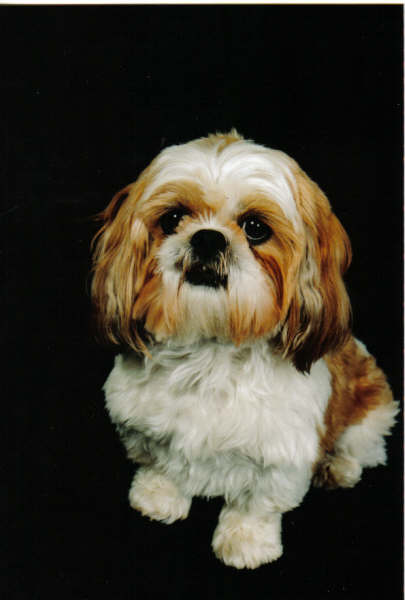 Daisy's photo shoot!