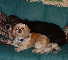 Oscar and Daisy