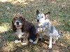 Sage and Oscar