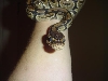 Python Regius