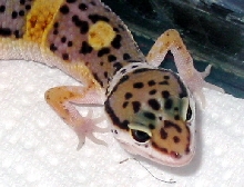 my sweetie..